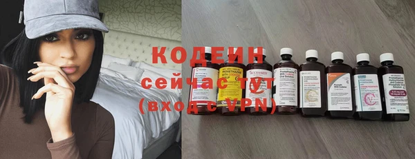 мет Карпинск