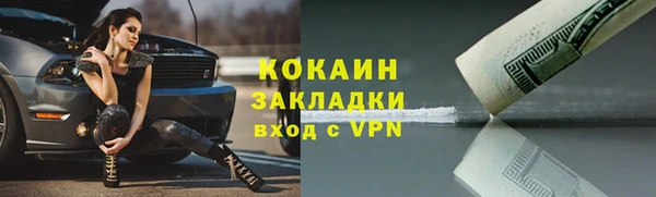 прущие грибы Касимов