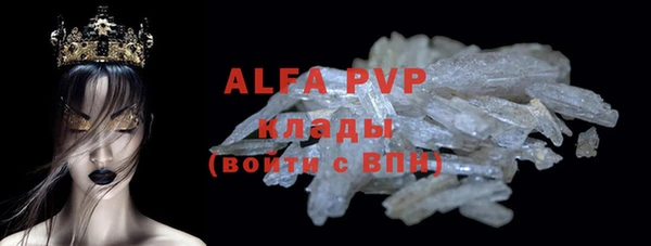 прущие грибы Касимов