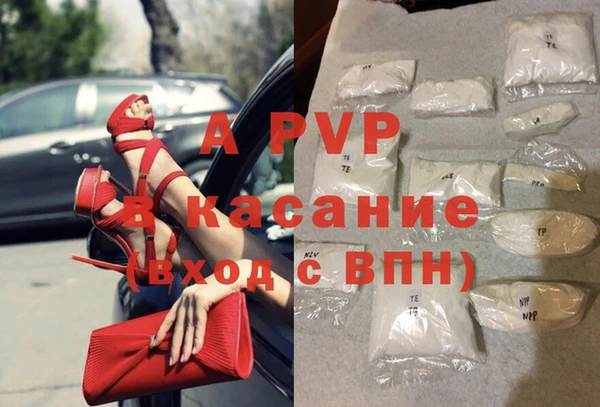 прущие грибы Касимов