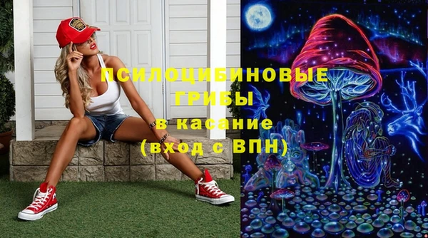 мет Карпинск