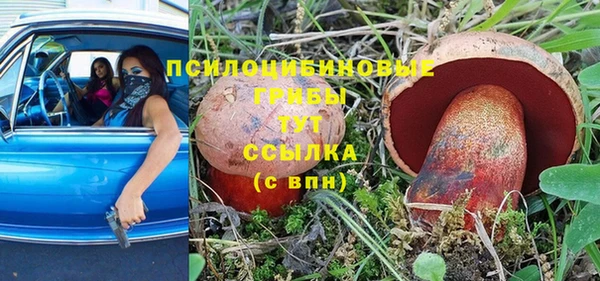 MESCALINE Кострома
